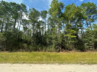 5542 Buckeye Ln, Bunnell, FL 32110