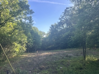 1464 Terrell Branch Rd, Pleasantville, TN 37033