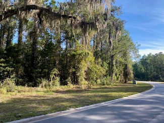 Lot 143 Beacon Pointe Pkwy, Waverly, GA 31565