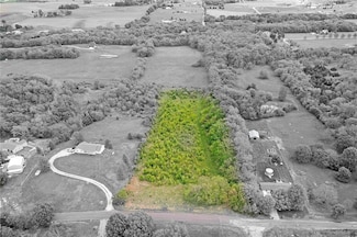 1115 S Borgman Rd, Buckner, MO 64016