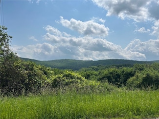 0 Clark Road Extension, Alfred Station, NY 14803