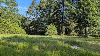 1145 Lake Point Rd, Swan Township, MO 65680