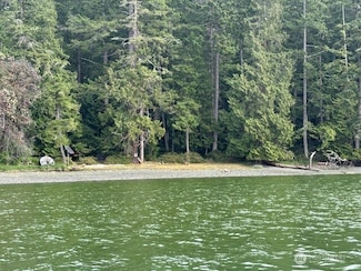 16 Driftwood Dr, Henry Island, WA 98250