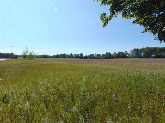 TBD Us 31 N & Schmalzried Rd, Levering, MI 49755
