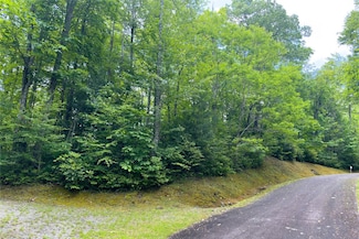 Lot 12 Horseshoe Bend Ln, Cullowhee, NC 28723