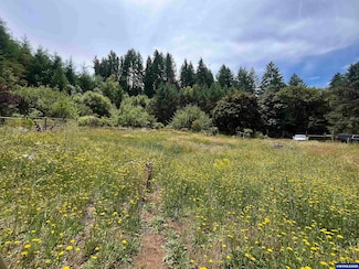 28908 Lake Lyons Rd, Alsea, OR 97324