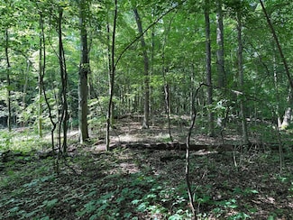 0 Michigan 60, Cassopolis, MI 49031
