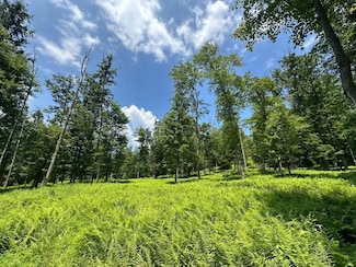 0 Pa 879, Karthaus, PA 16845
