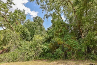 4033 Charleston Park, Tyler, TX 75701