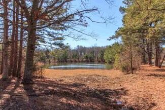 2227 Mount Vinson Rd, Stantonville, TN 38379