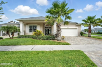 3048 Borassus Dr, New Smyrna Beach, FL 32168