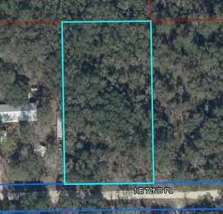 0 NE 72nd Place, East Bronson, FL 32621
