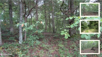 5.017ac Backwoods Trail, Celina, TN 38551