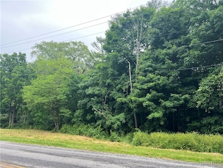 0 Park Rd W, Castile, NY 14427