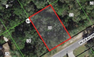 805 W Deacon Place, Citrus Springs, FL 34434