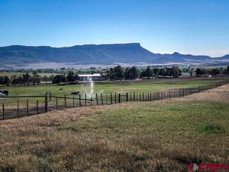 0 Road 40 Unit 746046, Mancos, CO 81328