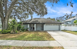 6308 Nesting Ct, Tampa, FL 33625
