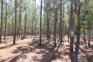 0 Moonlight Rd, Williston, SC 29853