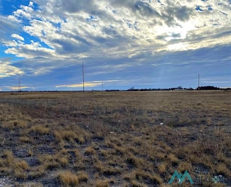 000 Tbd Bigler Addition Blk 2 Lot 5, Portales, NM 88130