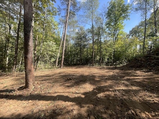 0 Hail Meece Rd, Somerset, KY 42501