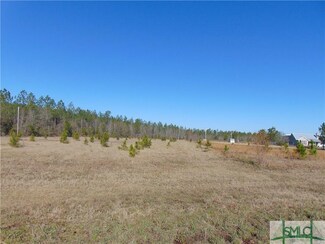 0 Stilson Leefield Rd Unit 219234, Brooklet, GA 30415