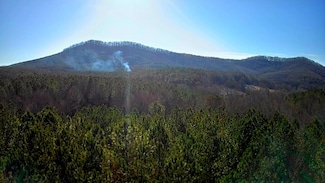 0 Black Bear Ridge Rd Unit 1506571, Ellijay, GA 30536