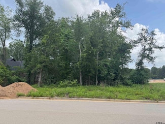 2332 Hidden Creek Trail, Tyler, TX 75703