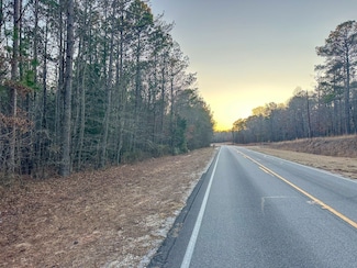 0 Judge Brown Rd Unit 22844146, Valley, AL 36854