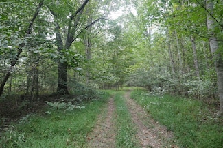 0 Tbd Bryson Cove Rd Unit LotWP001, Abingdon, VA 24210