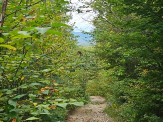 35 Off Averill Hill & Timberland Rd, Dixfield, ME 04224
