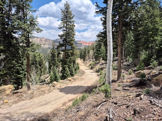 lot 33,34 Bonnie Green Rd, Duck Creek Village, UT 84762