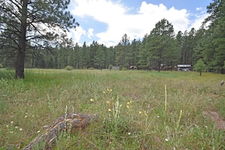 Lot 1 Hidden Valley Rd, Jemez Springs, NM 87025