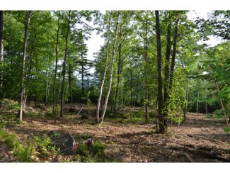 000 Mount Hunger Rd, Henniker, NH 03242