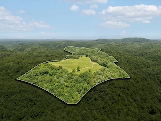 219 Dale Ln, Hilham, TN 38568