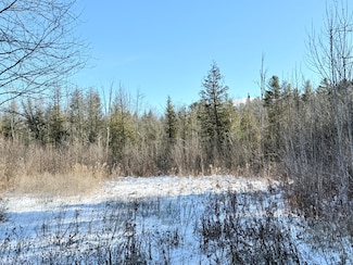 0 Hank Wilson Rd, Cadyville, NY 12918