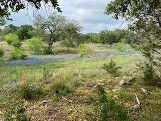1365 Pedernales Hills Rd Unit 27, Johnson City, TX 78636