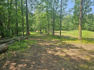 Parcel B County Road 12, Riverton, MN 56455