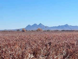 New Frontier Dr SW, Deming, NM 88030