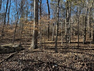 0 Ross Hollow Rd Unit 1386316, Ringgold, GA 30736