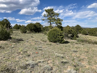 705 Riggs Rd, Westcliffe, CO 81252