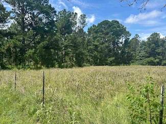 TBD E Front St, Arp, TX 75750