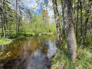 51791 Riverside Ln, Sandstone, MN 55072