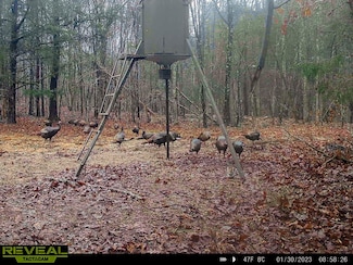 Cross Keys Hwy, Union, SC 29379