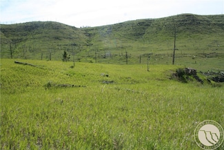 Lot 31 Skunkbelly Ln, Reed Point, MT 59069