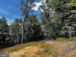 0 Markham Farm Rd Unit VAWR2011858, Front Royal, VA 22630