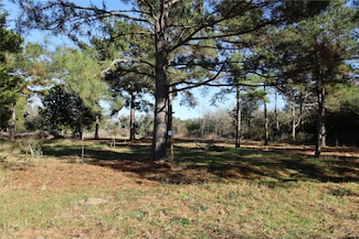 20792 Pearl St, Prairie View, TX 77484
