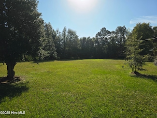 205 Bruce St, Fair Bluff, NC 28439