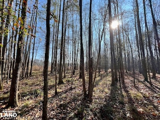 0 County Road 219 Unit 22108768, Valley Grande, AL 36701