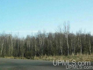 Lot 2 Airport Park Rd Unit Co Rd 35B, Hancock, MI 49930