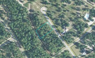 Lot 1A-24 March Hen Rd NE, Townsend, GA 31331